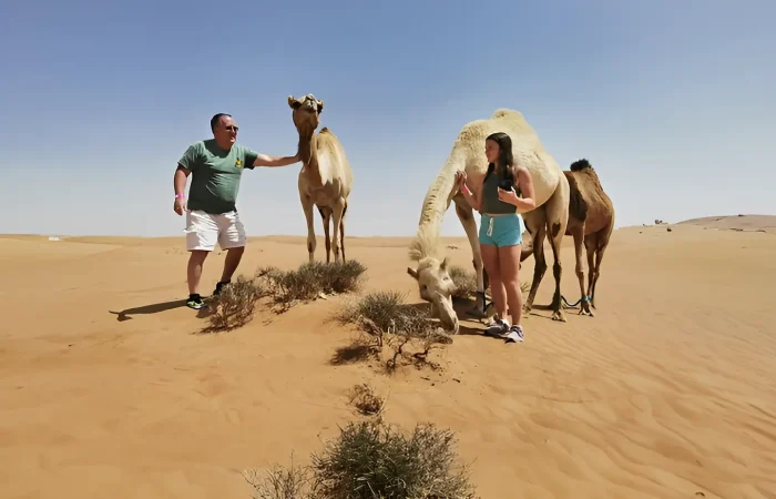 Private Morning Desert Safari Dubai: Camel Ride &amp; Sandboard