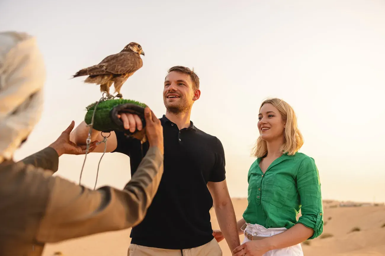 Guests enjoying a falcon encounter in the desert